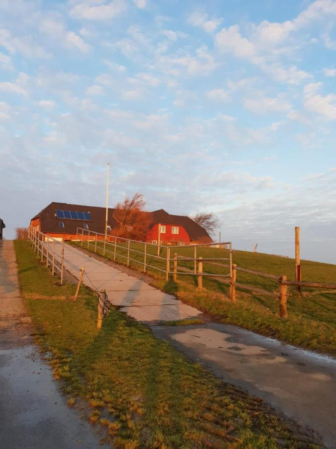Hare Ferienwohnungen Langeness Exterior photo